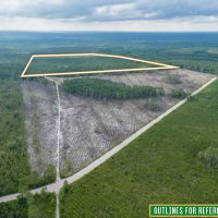 199 Acres of Country Bliss Prime Land in White Oak GA images 5