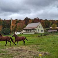 Crane Mountain Horse Farm