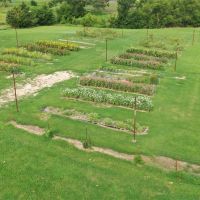Fabulous 39 Acres with Several Buildings Updated 4bed 4ba Home