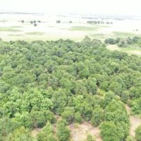 For Sale 135 Acres with 2 large Barns timber images 2