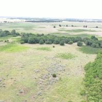 For Sale 135 Acres with 2 large Barns timber images 5
