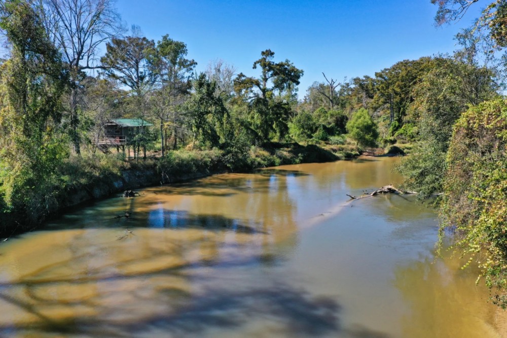Tangipahoa River Frontage amp Timber featured image