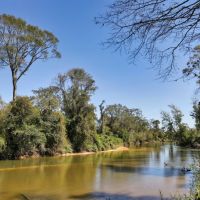 Tangipahoa River Frontage amp Timber images 5
