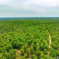 32 - Acres Hunting Cabin Wooded Gravel Road Frontage near Hardy Arkansas images 2