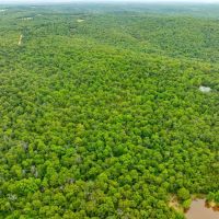 32 - Acres Hunting Cabin Wooded Gravel Road Frontage near Hardy Arkansas images 5