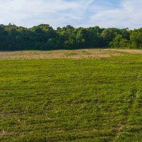 Welcome to an exceptional opportunity in the serene Midway community of Greene County