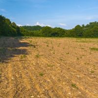 Welcome to an exceptional opportunity in the serene Midway community of Greene County images 2