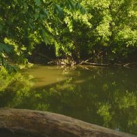 Welcome to an exceptional opportunity in the serene Midway community of Greene County images 4