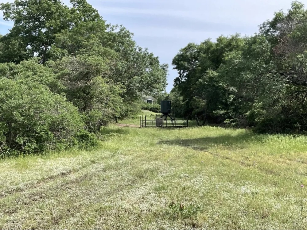 Crouch Ranch on Vista Mountain featured image