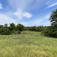 Crouch Ranch on Vista Mountain images 2