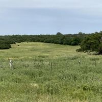 Crouch Ranch on Vista Mountain images 4