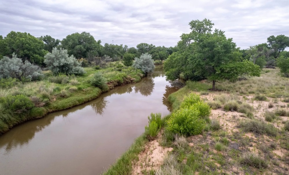 Pecos Bosque Ranch featured image
