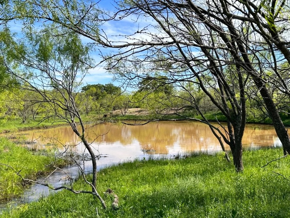 63 - Acres….Excellent Hunting Tank Oaks featured image