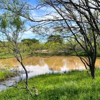 63 - Acres….Excellent Hunting Tank Oaks