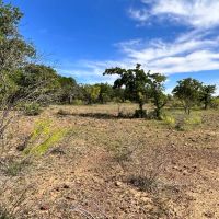 63 - Acres….Excellent Hunting Tank Oaks images 5