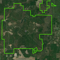 Camp Beauregard - 12,500 acres for hunting Turkey & Deer in Rapides, LA