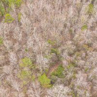 Central MS Hunting and Timber images 5