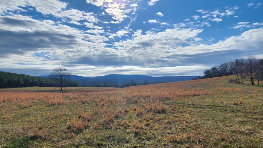 257 ACRE FARM WITH PANORAMIC VIEWS IN CRAB ORCHARD TENNESSEE featured image