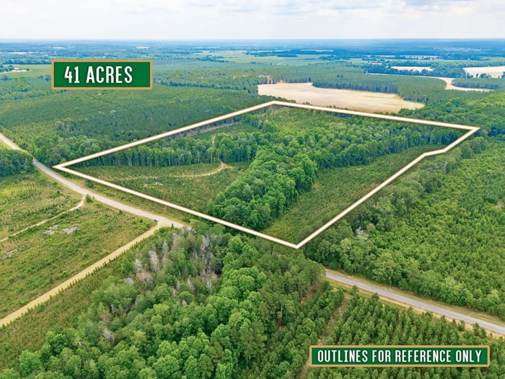 Prime 41-Acre Timberland and Homesite in Telfair County GA featured image