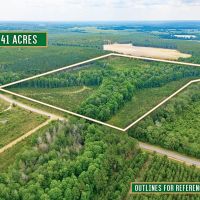 Prime 41-Acre Timberland and Homesite in Telfair County GA