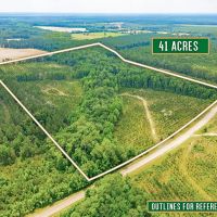 Prime 41-Acre Timberland and Homesite in Telfair County GA images 2