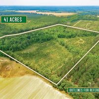 Prime 41-Acre Timberland and Homesite in Telfair County GA images 3