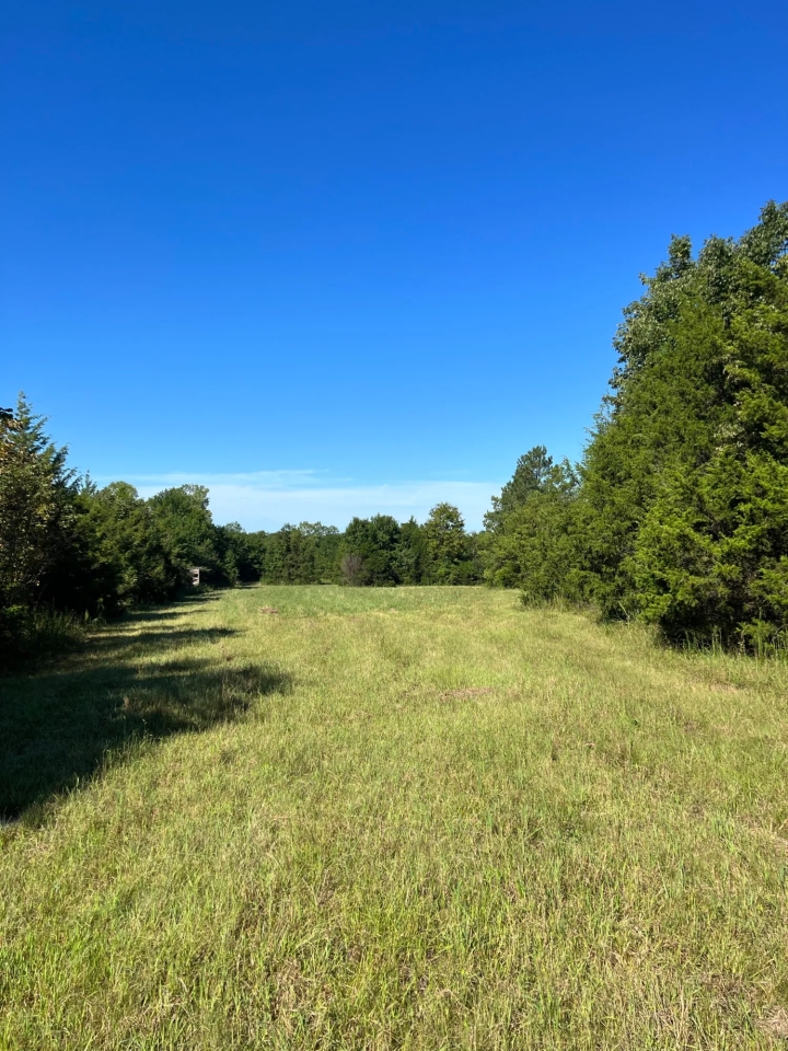 SOLD 237 Black Belt Hunting Tract Hunting Land for Sale