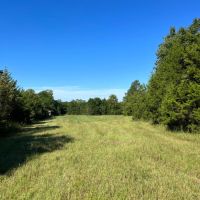 SOLD 237 Black Belt Hunting Tract