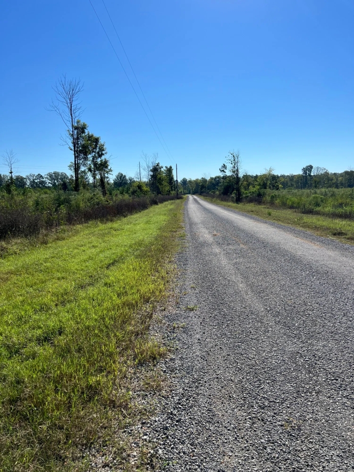 SOLD 237 Black Belt Hunting Tract Hunting Land for Sale