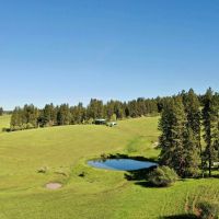 Henry Cattle Ranch images 5