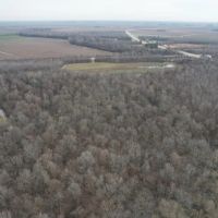 Farm and Recreational Land in Craighead County AR