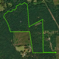 129 acres of Hutchinson Creek WMA for hunting Deer in St. Helena, LA