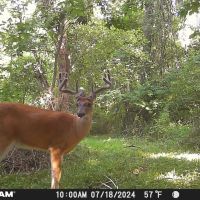 5060 N State Rd 5 Larwill IN 46764 20 acres 2908 sq ft home with 3 beds 2.5 bath Home for Sale Land for Sale images 4
