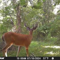 5060 N State Rd 5 Larwill IN 46764 20 acres 2908 sq ft home with 3 beds 2.5 bath Home for Sale Land for Sale images 5