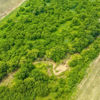 Itasca Tract 10 11 Acres Only 15K Down