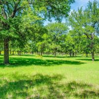 9628 County Road 137 Ranger Texas 76470
