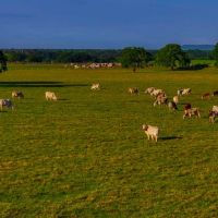 Texas River Ranch images 5