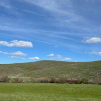 Rose Creek East images 4