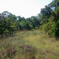 120 Acre Pasture and Hay w Hunting Pawnee County images 5