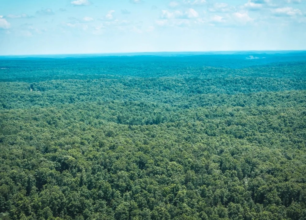 Stall Hollow Tract 4 featured image
