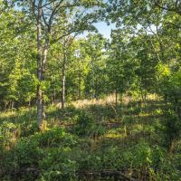 Stall Hollow Tract 4 images 2