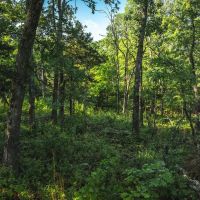 Stall Hollow Tract 4 images 3