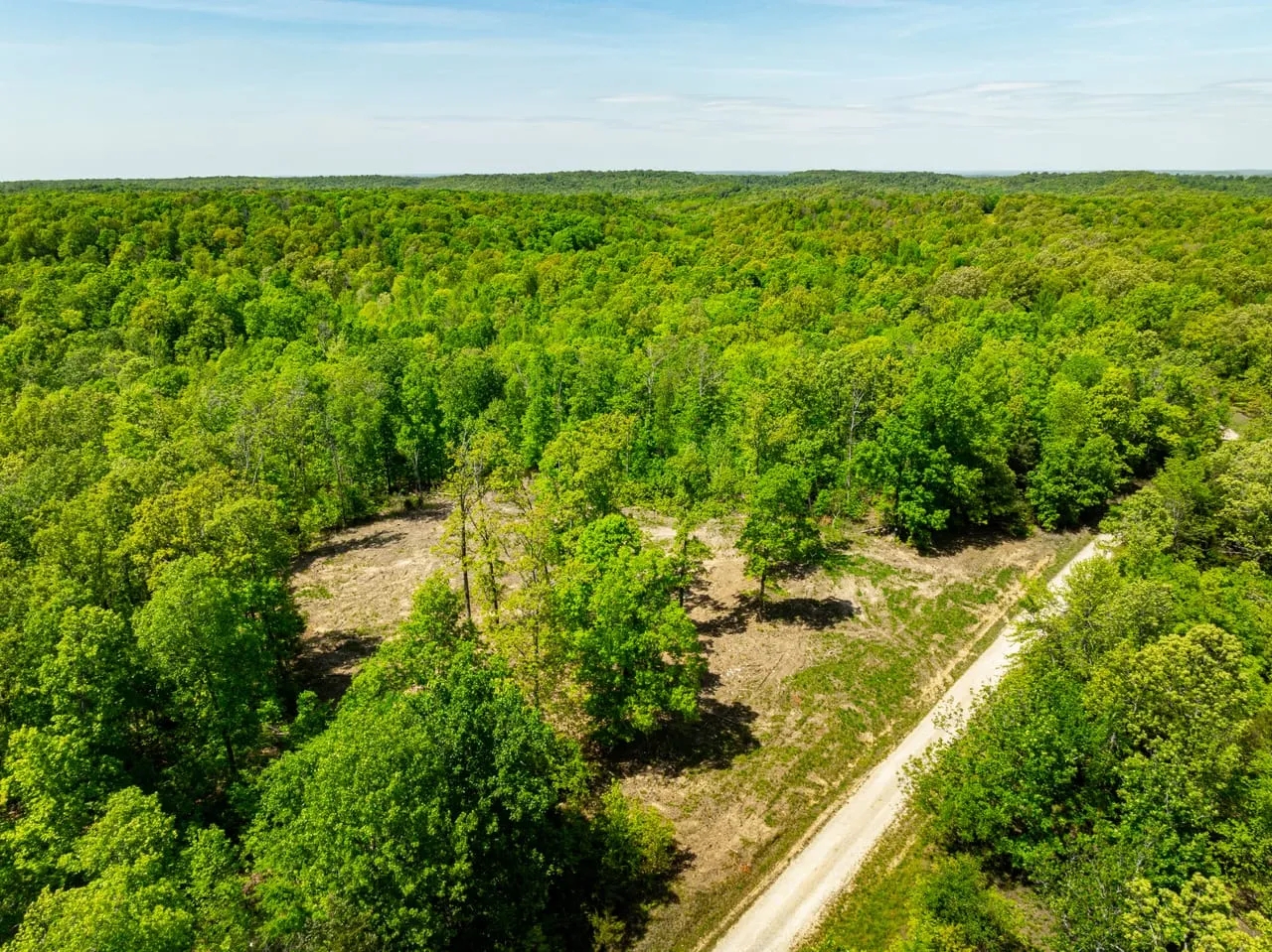 55 ACRES Hunting Property or Home Place Imboden Arkansas Lawrence