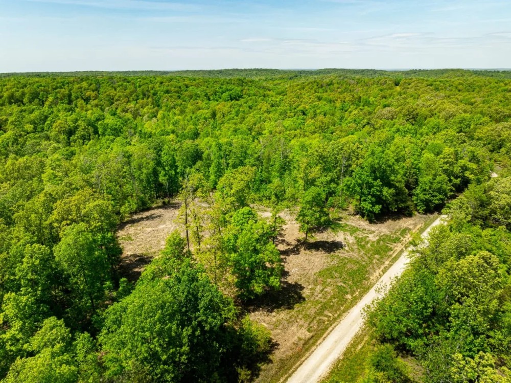 55 - ACRES Hunting Property or Home Place Imboden Arkansas Lawrence County featured image