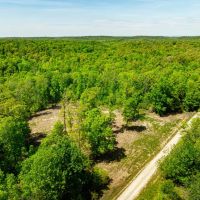 55 - ACRES Hunting Property or Home Place Imboden Arkansas Lawrence County