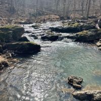 55 - ACRES Hunting Property or Home Place Imboden Arkansas Lawrence County images 2