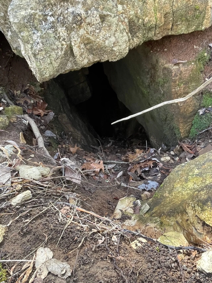 55 ACRES Hunting Property or Home Place Imboden Arkansas Lawrence