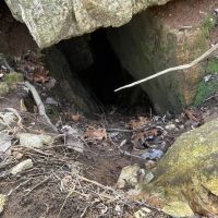 55 - ACRES Hunting Property or Home Place Imboden Arkansas Lawrence County images 3