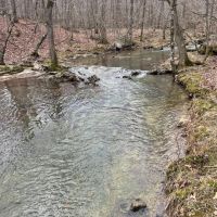 55 - ACRES Hunting Property or Home Place Imboden Arkansas Lawrence County images 4