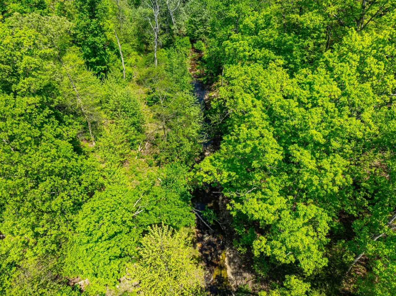 55 ACRES Hunting Property or Home Place Imboden Arkansas Lawrence